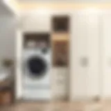 Elegant laundry machine cabinet design featuring sleek lines and minimalistic aesthetic