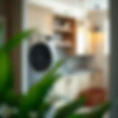 Expert tips on maintaining and enhancing the longevity of laundry cabinets