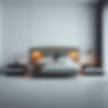 Sleek and minimalistic queen-size bed with contemporary style