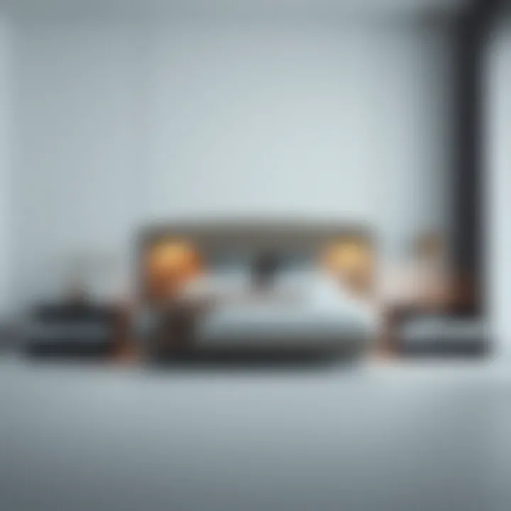 Sleek and minimalistic queen-size bed with contemporary style