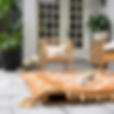 Essential Maintenance Tips for Outdoor Rugs Maintenance tips for outdoor rugs illustrated