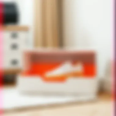 Modern Shoe Box Features Innovative shoe box design