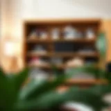 Elegant sneaker storage solution