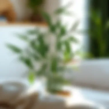 Sustainability of Bamboo Bedding Sustainable bamboo plant showcasing eco-friendliness