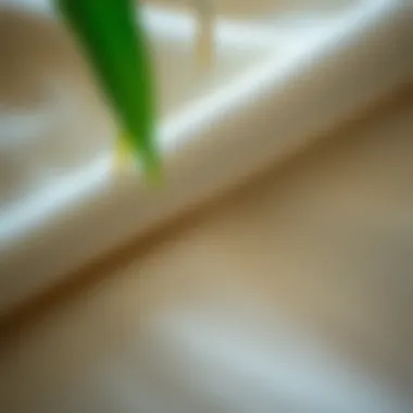 Bamboo Fabric Texture Revealed Close-up of the texture of bamboo fabric