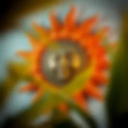 A stunning sun wall art piece reflecting vibrant colors and intricate designs.