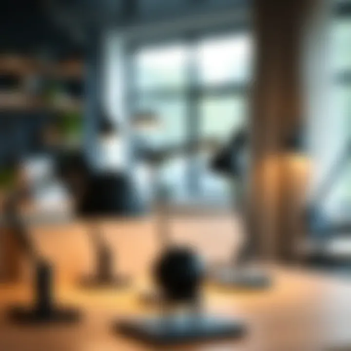 Diverse Styles of Black Desk Lights for Modern Interiors Variety of black desk light designs on display