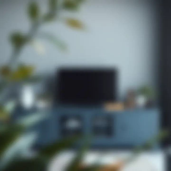 Blue gray TV stand arranged with decorative accents and plants