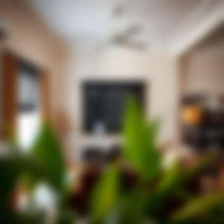 Living Room Enhancements with Black Markerboard Creative wall design featuring a black markerboard in a living room