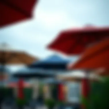 Diverse Styles of Patio Umbrellas for Outdoor Decor Variety of patio umbrellas showcasing diverse styles and colors perfect for outdoor decor