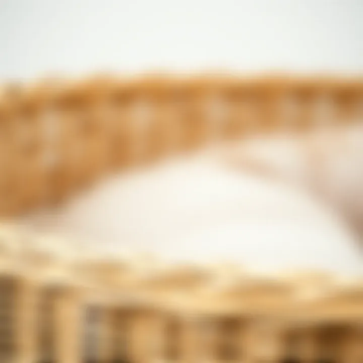 High-Quality Wicker Material for Comfort and Longevity Close-up of durable wicker material used in dog bed